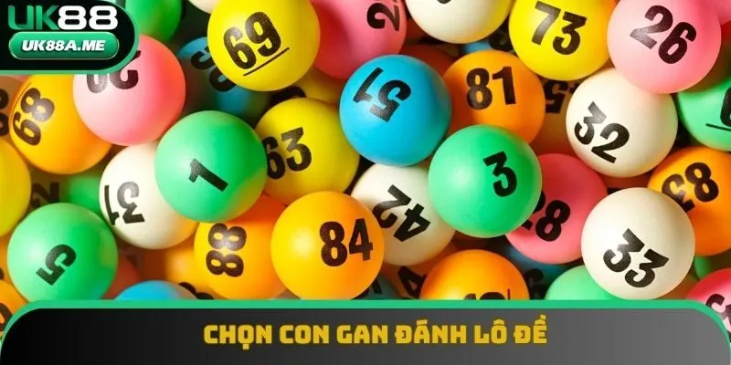Cách tính lô đề hiệu quả nhất theo con gan Cách tính lô đề hiệu quả nhất theo con gan