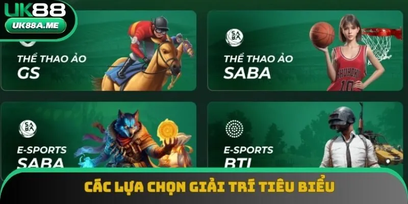 Các lựa chọn giải trí tiêu biểu Các lựa chọn giải trí tiêu biểu