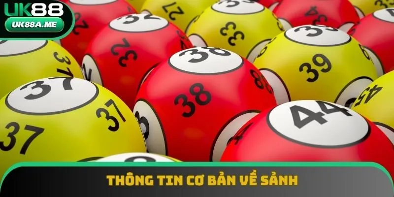 Thông tin cơ bản về sảnh